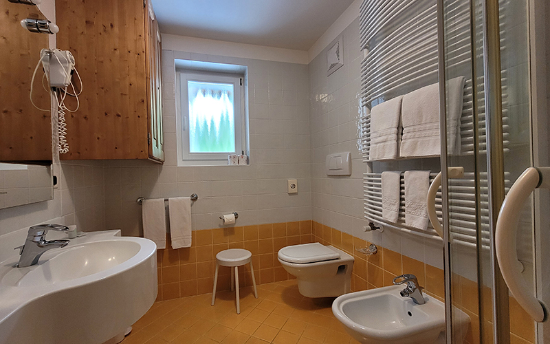 Modern and functional bathroom of an Alpenroyal apartment, with washbasin, WC, bidet, shower, and heated towel rail.