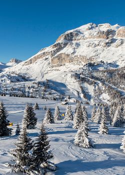 Winter panoramic view of the Dolomites in Arabba, with snow-covered ski slopes, fir trees, and the imposing peaks.