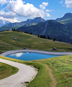 Dirt path winding towards a blue alpine lake, surrounded by green pastures and imposing Dolomites under a blue sky.