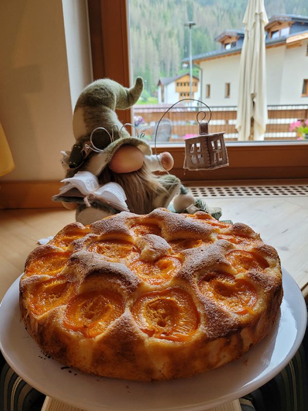 A homemade apricot cake, part of the Garni Royal breakfast, with a decorative gnome and a view of the Dolomites.