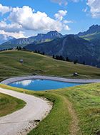 Dirt path winding towards a blue alpine lake, surrounded by green pastures and imposing Dolomites under a blue sky.