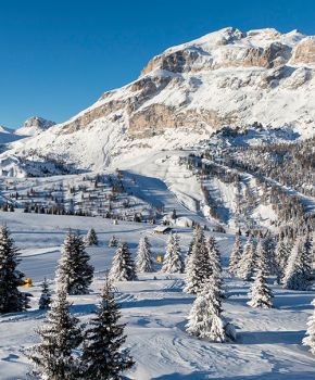 Winter panoramic view of the Dolomites in Arabba, with snow-covered ski slopes, fir trees, and the imposing peaks.