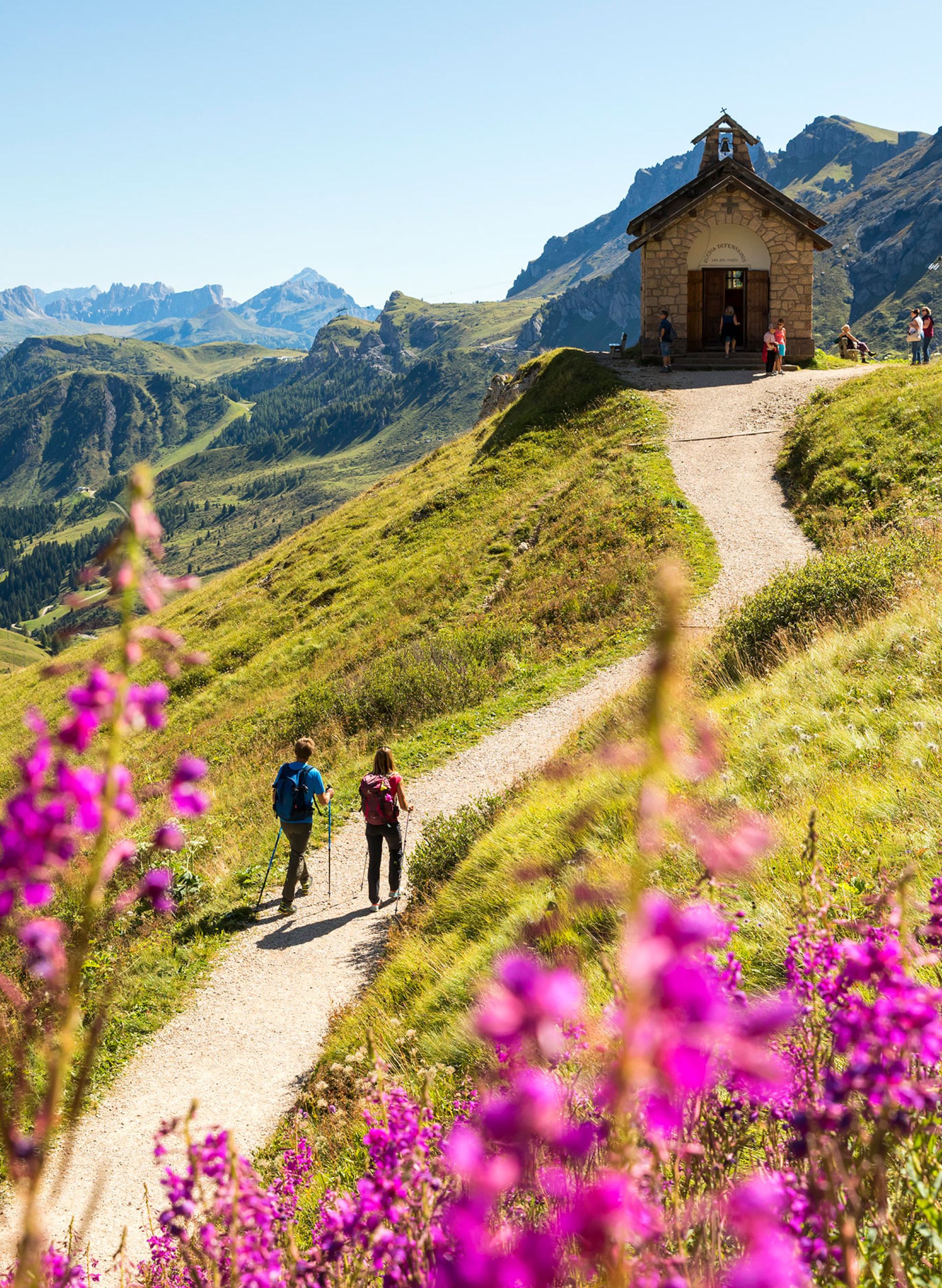 Two hikers with trekking poles on a flowery mountain path, with a small church and the Dolomites in the background.